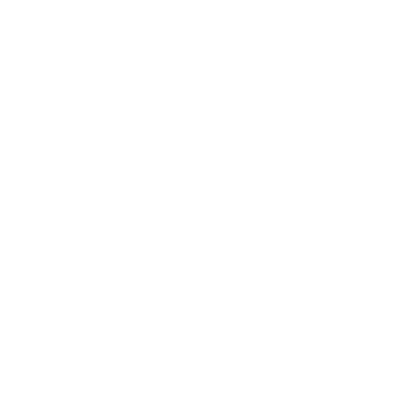 BFM LYON