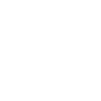 BV SPORT